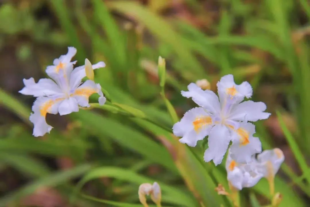 尊龙凯时·(中国) 官网注册入口
