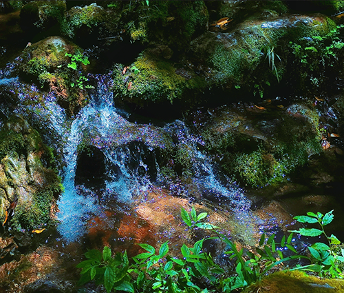 尊龙凯时·(中国) 官网注册入口